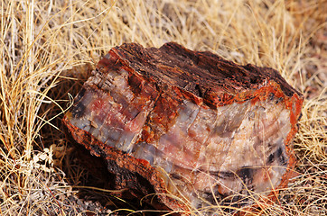 Image showing Petrified-Forest-National-Park, Arizona, USA