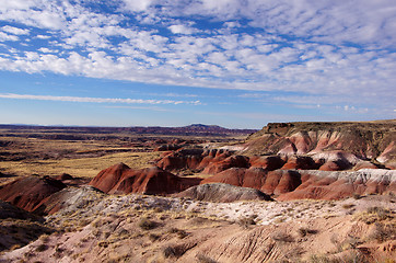 Image showing Petrified-Forest-National-Park, Arizona, USA