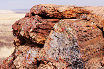 Image showing Petrified-Forest-National-Park, Arizona, USA