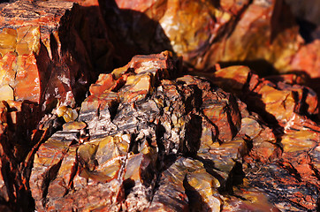 Image showing Petrified-Forest-National-Park, Arizona, USA