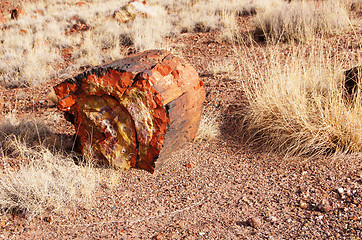 Image showing Petrified-Forest-National-Park, Arizona, USA