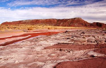 Image showing Petrified-Forest-National-Park, Arizona, USA