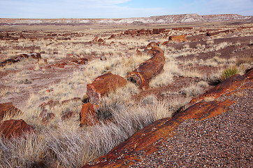 Image showing Petrified-Forest-National-Park, Arizona, USA