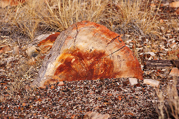 Image showing Petrified-Forest-National-Park, Arizona, USA