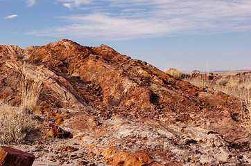 Image showing Petrified-Forest-National-Park, Arizona, USA