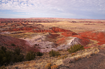 Image showing Petrified-Forest-National-Park, Arizona, USA