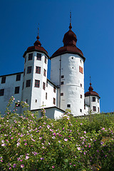 Image showing Laeckoe Castle, Sweden