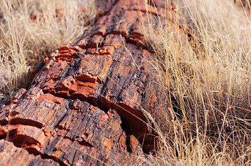 Image showing Petrified-Forest-National-Park, Arizona, USA