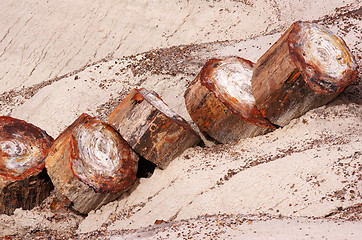 Image showing Petrified-Forest-National-Park, Arizona, USA