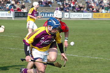 Image showing Wexford vs Down 2007
