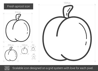 Image showing Fresh apricot line icon.