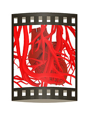 Image showing Human heart and veins. 3D illustration.. The film strip