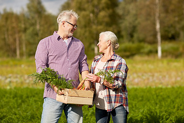 Image showing senior couple with box of carrots on farm