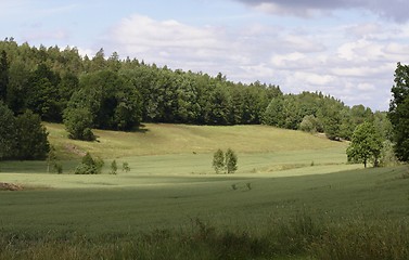 Image showing Field.