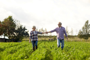 Image showing happy senior couple holding hands at summer farm