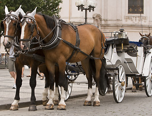 Image showing Horses and carriage in Prague