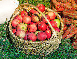 Image showing The apples in the basket are sold at the fair.