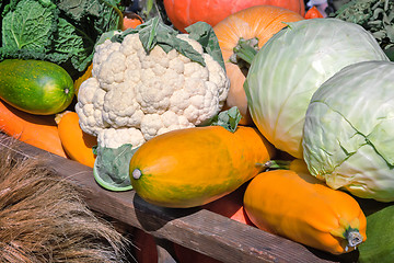 Image showing Vegetable harvest is sold at the fair.