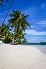 Image showing Paradise tropical beach and lagoon in Moorea Island