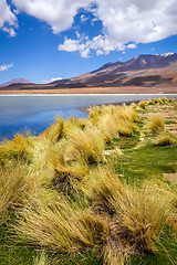 Image showing Altiplano laguna in sud Lipez reserva, Bolivia