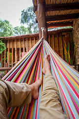 Image showing Relaxing in hammock