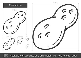 Image showing Peanut line icon.