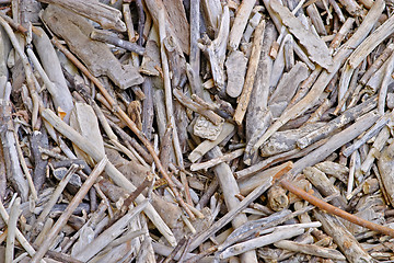 Image showing Withered wood sticks texture, Valtrebbia, Italy