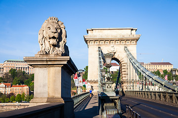 Image showing BUDAPEST, HUNGARY - 2017 MAY 19th: lion statue at the beginning 