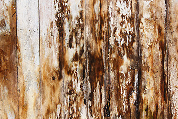 Image showing mold and fungus on damp spruce planks