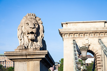 Image showing BUDAPEST, HUNGARY - 2017 MAY 19th: lion statue at the beginning 