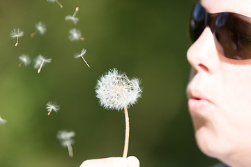 Image showing Young woman blowing to the dandelion, selective focus