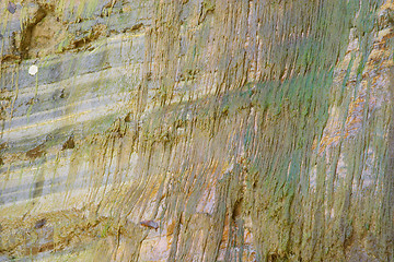 Image showing Wet rock and green algae texture from Perino river, Valtrebbia, Italy