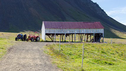 Image showing Specialty of iceland called hakarl