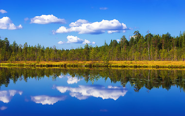 Image showing Forest And Sky Reflection