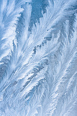 Image showing frost pattern on window glass