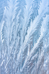 Image showing Ice patterns on the glass