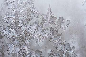 Image showing Ice patterns on winter glass