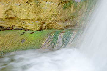 Image showing Wet rock, green algae and waterfall of Perino river, Valtrebbia, Italy