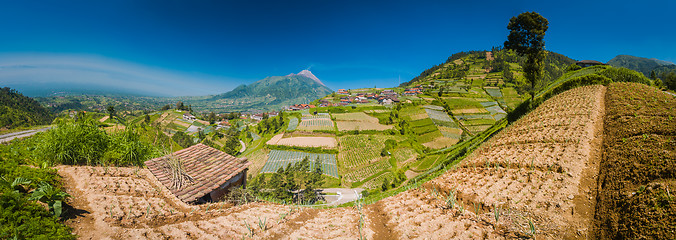 Image showing Life in Java province