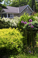 Image showing Front yard of a house