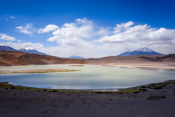 Image showing Laguna Honda in sud Lipez Altiplano reserva, Bolivia