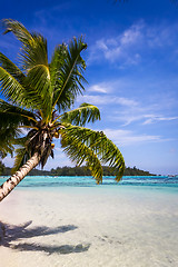 Image showing Paradise tropical beach and lagoon in Moorea Island