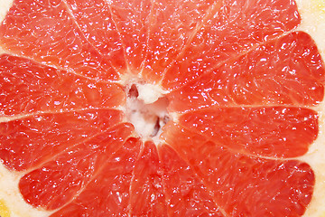 Image showing grapefruit red cut by pieces