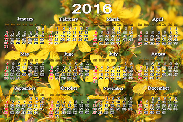 Image showing calendar for 2016 with yellow flowers of St.-John's wort