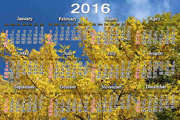 Image showing calendar for 2016 on the yellow maple leaves