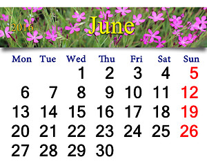 Image showing calendar for June 2016 with image of wild carnation