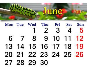 Image showing calendar for June 2016 with caterpillar