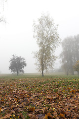 Image showing Fog in autumn season