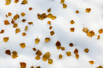 Image showing snow drifts, close-up