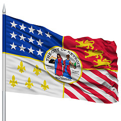 Image showing Detroit City Flag on Flagpole, USA